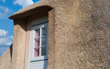 Lower Brynamman thatch roof disadvantages
